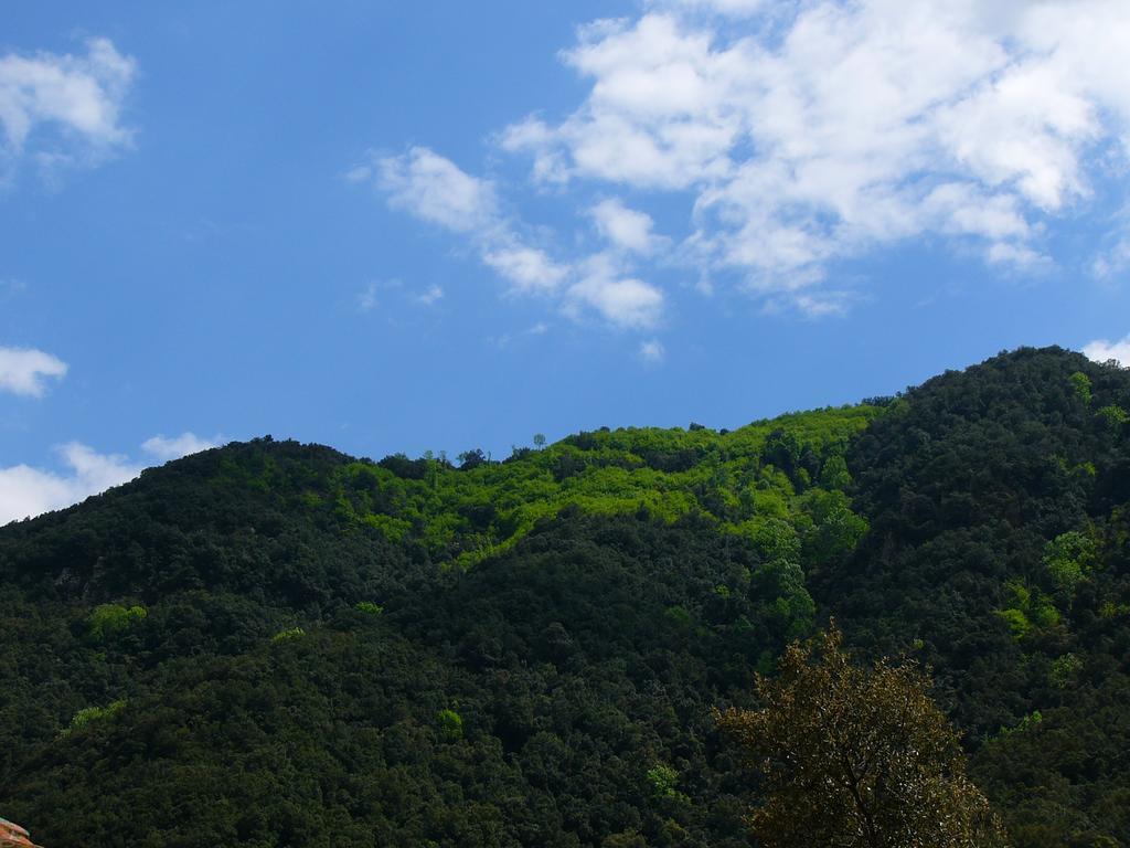 Mas Els Terrats ξενώνας Susqueda Εξωτερικό φωτογραφία