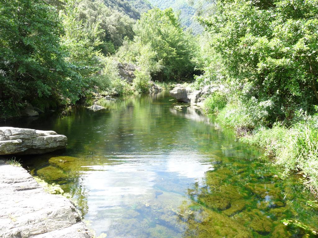 Mas Els Terrats ξενώνας Susqueda Εξωτερικό φωτογραφία