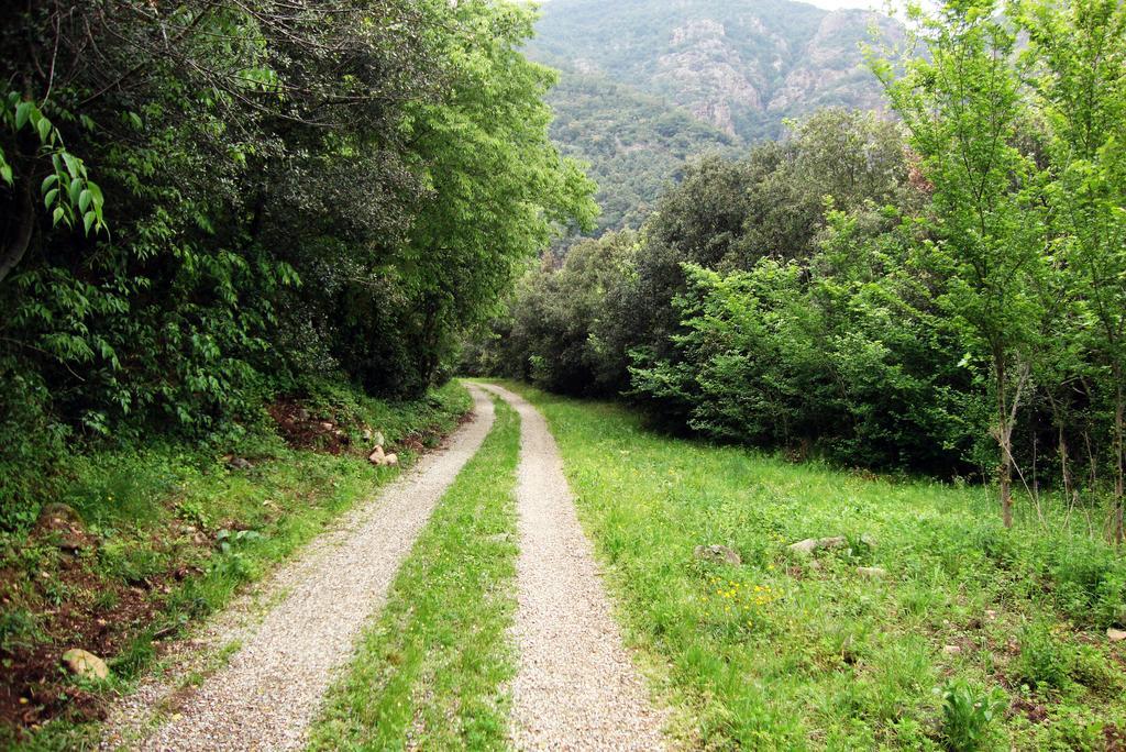 Mas Els Terrats ξενώνας Susqueda Εξωτερικό φωτογραφία